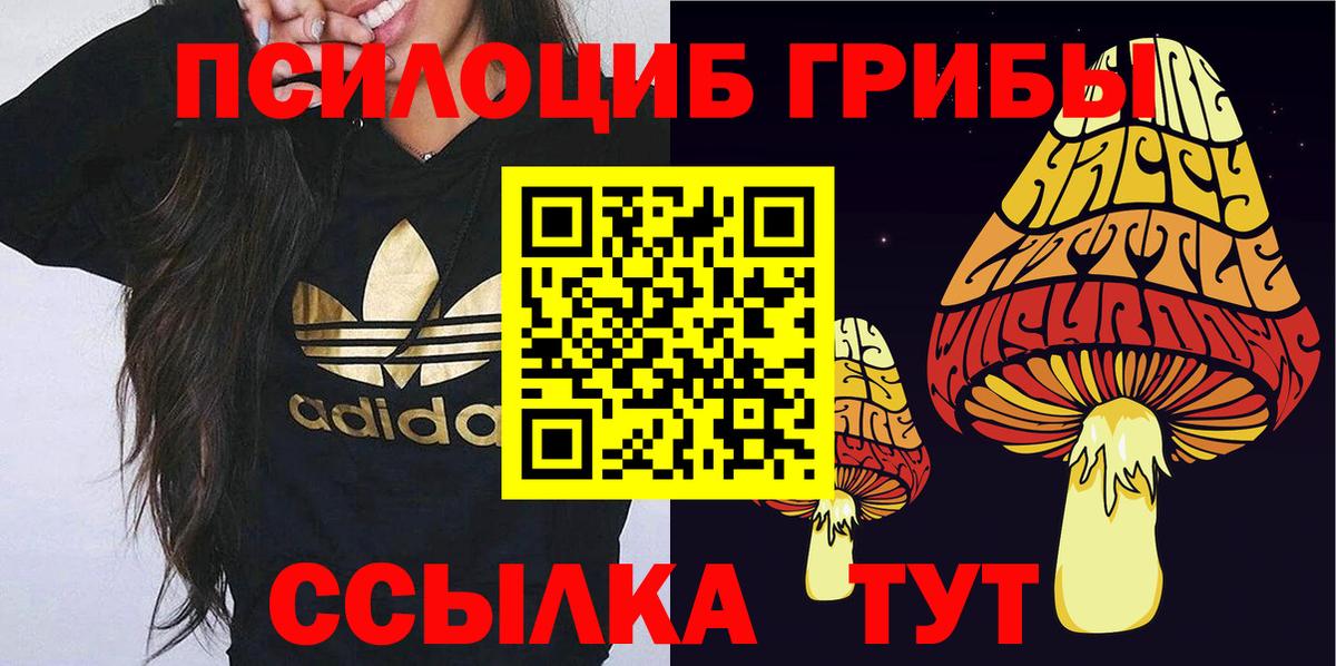 что такое   Галлюциногенные грибы Psilocybine cubensis  Вход с VPN  Псилоцибиновые грибы ЛСД  Джанкой 