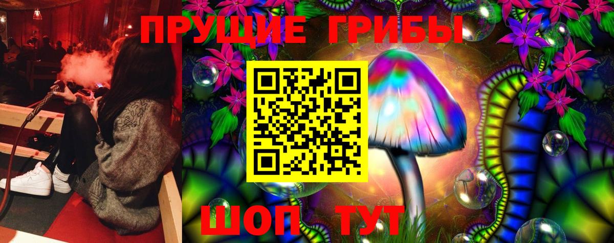 Псилоцибиновые грибы мицелий Джанкой